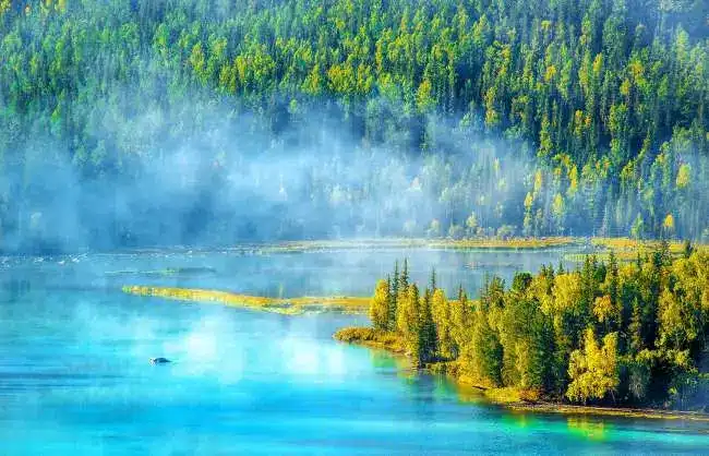 A scenic view of altay kanas lake