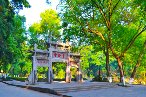 A scenic view of Ancient Longzhong