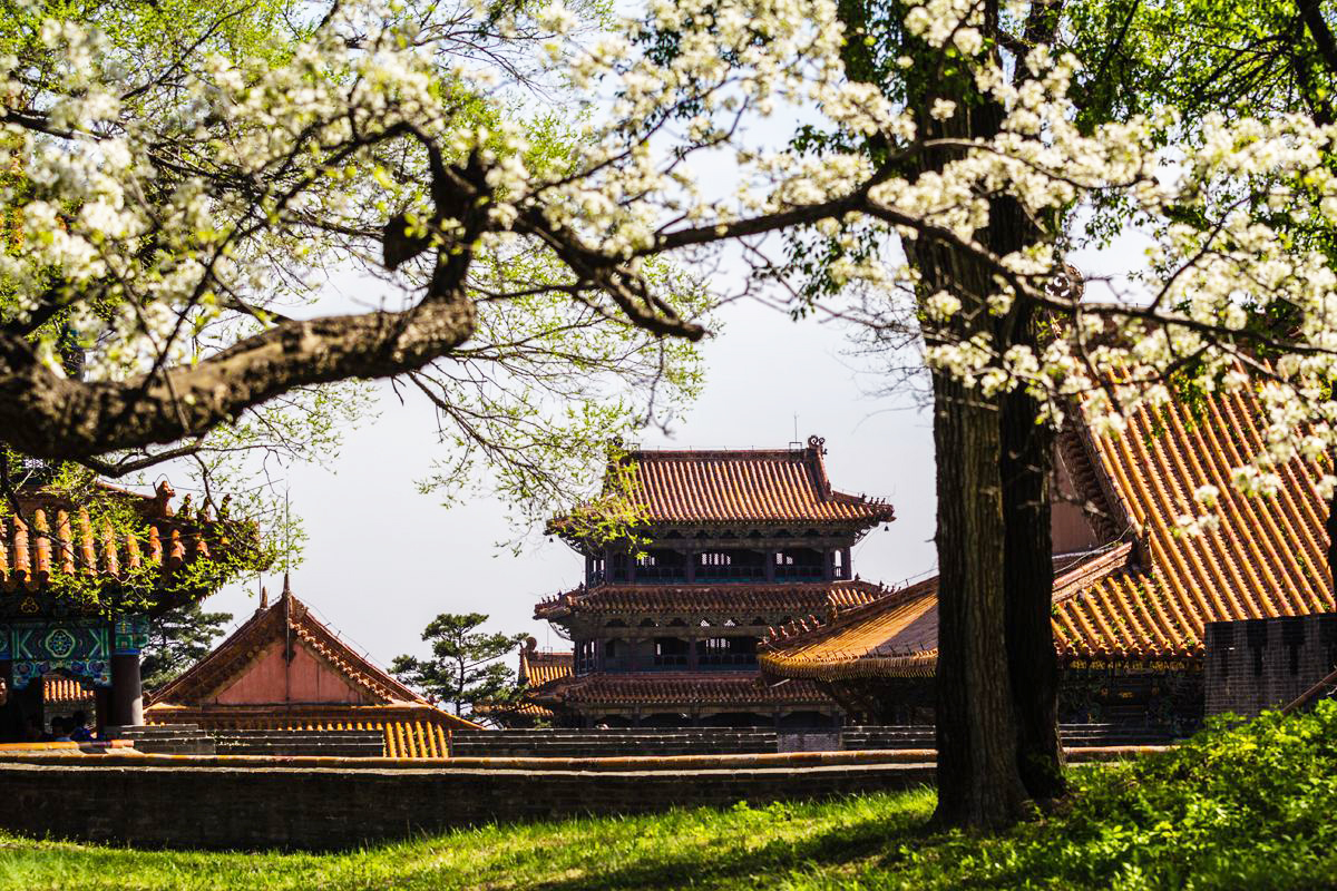 A scenic view of ancient tombs in fuyang