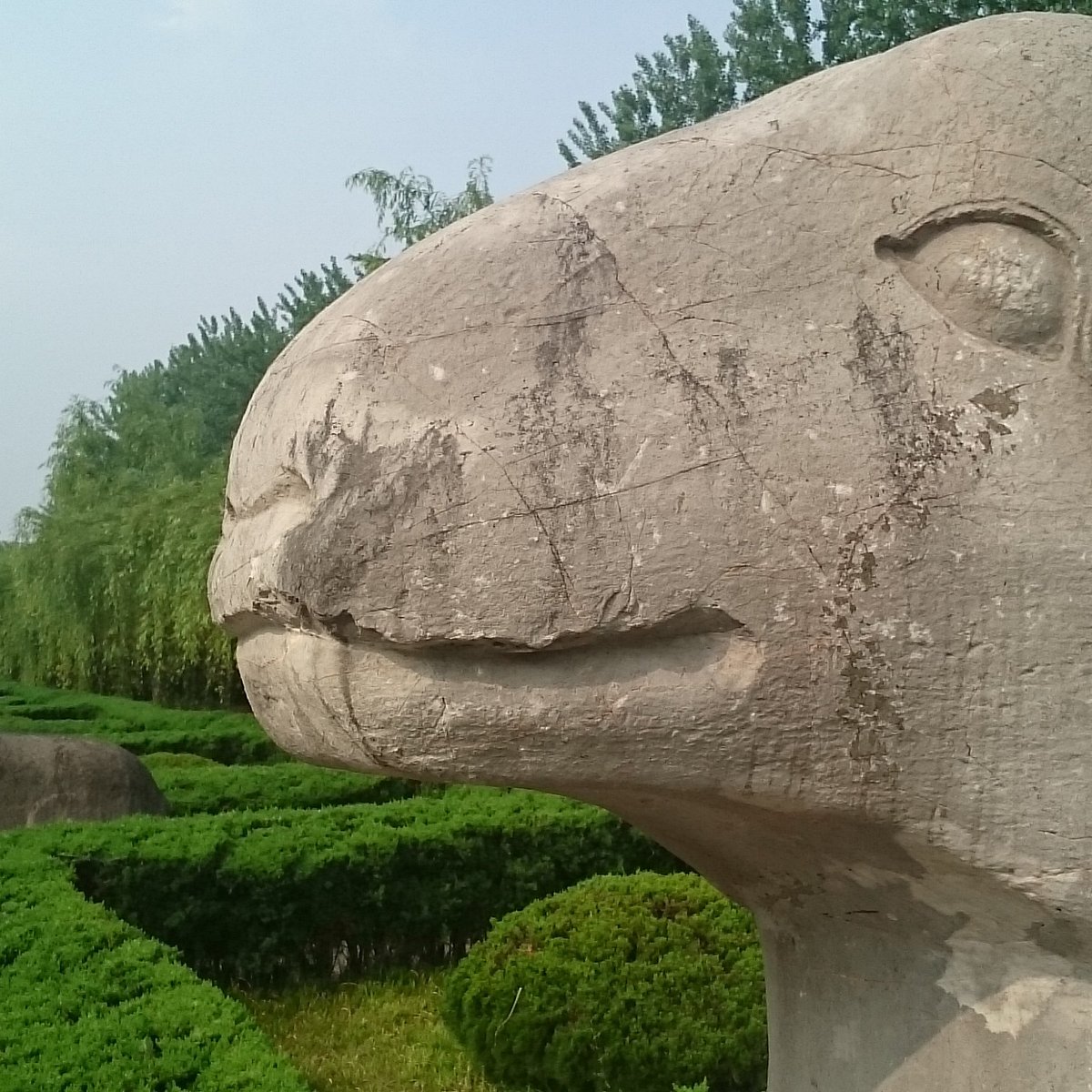 A scenic view of ancient tombs in fuyang