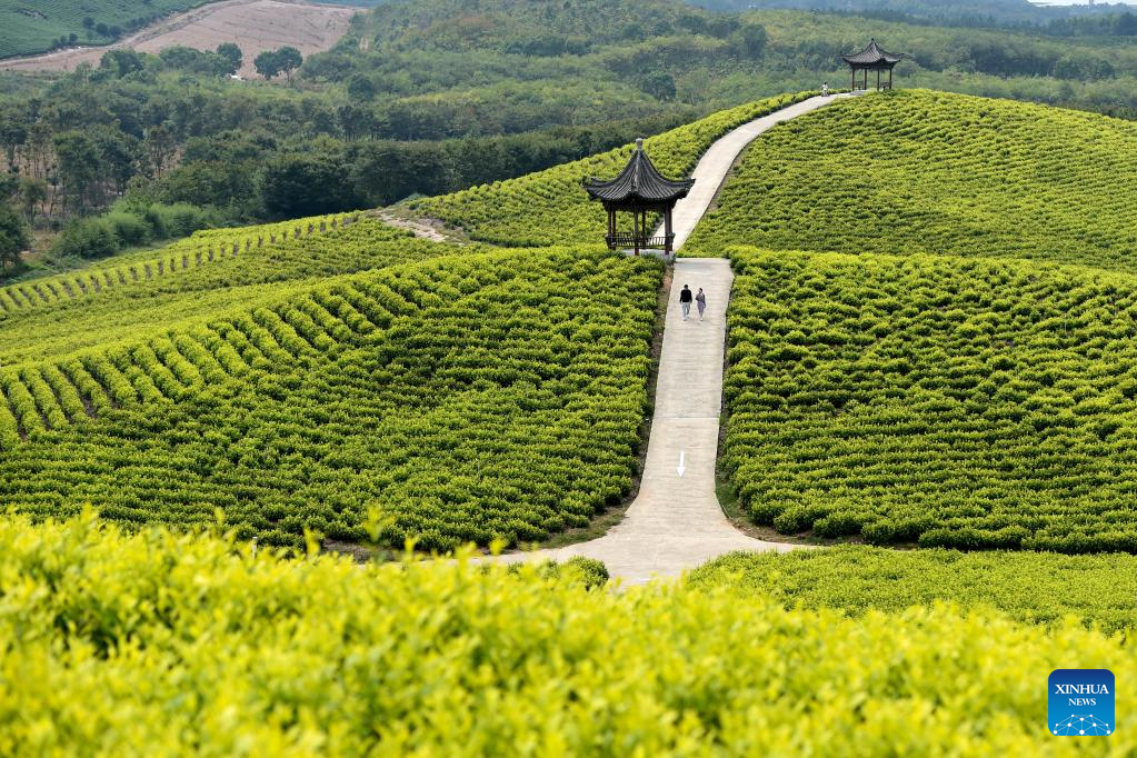 A scenic view of angangxi_site
