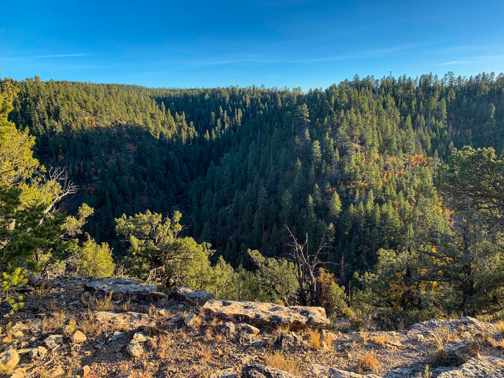 A scenic view of asbestos_canyon_k_stone_forest