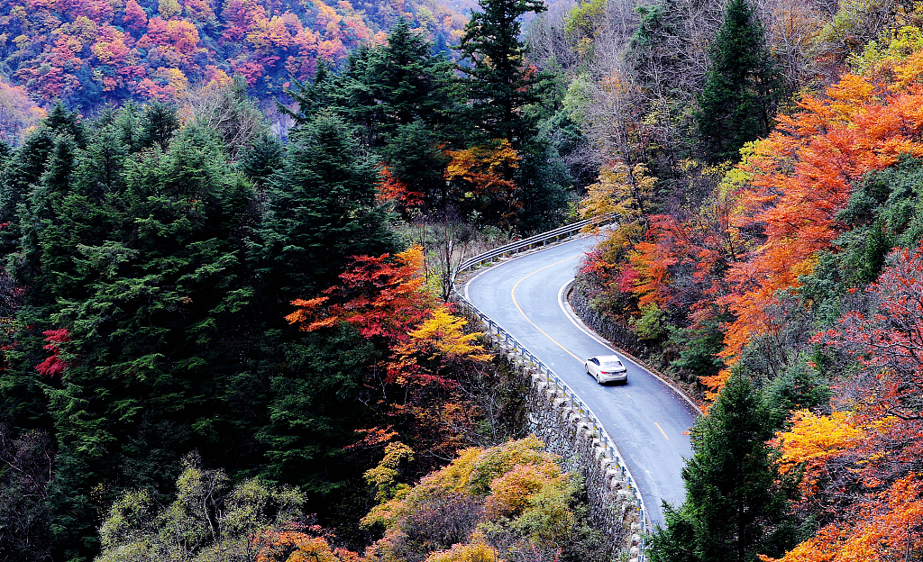 A scenic view of Autumn Harvest Uprising Wenjiashi Meeting Site