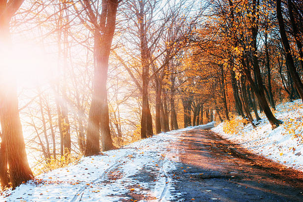 A scenic view of autumn snow studio