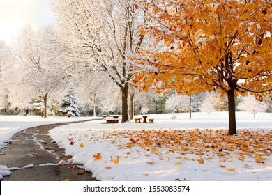 Autumn Snow Studio: A Hidden Gem for Fall Photography