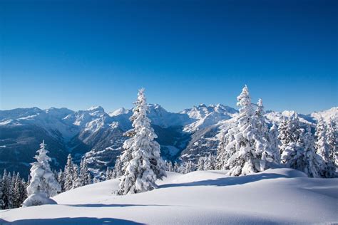 A scenic view of autumn snow studio
