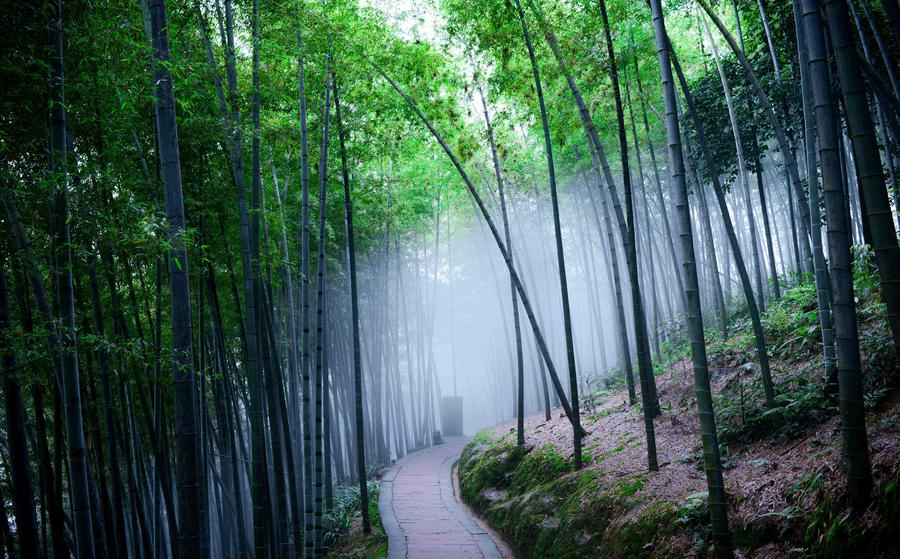 A scenic view of baijinbao_site