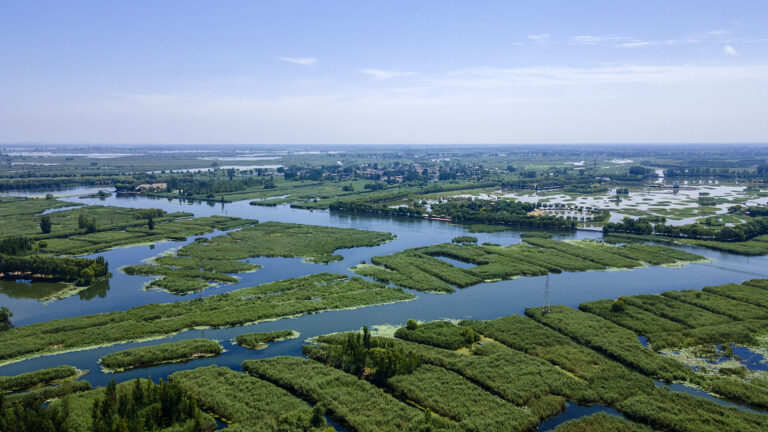 Top Things to Do at Baiyangdian Lake: A Nature Lover’s Paradise