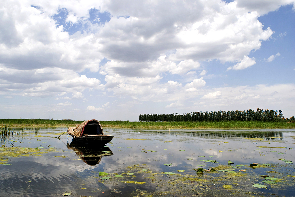 A scenic view of Baiyangdian Lake