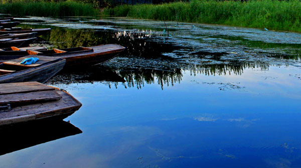 A scenic view of Baiyangdian Lake