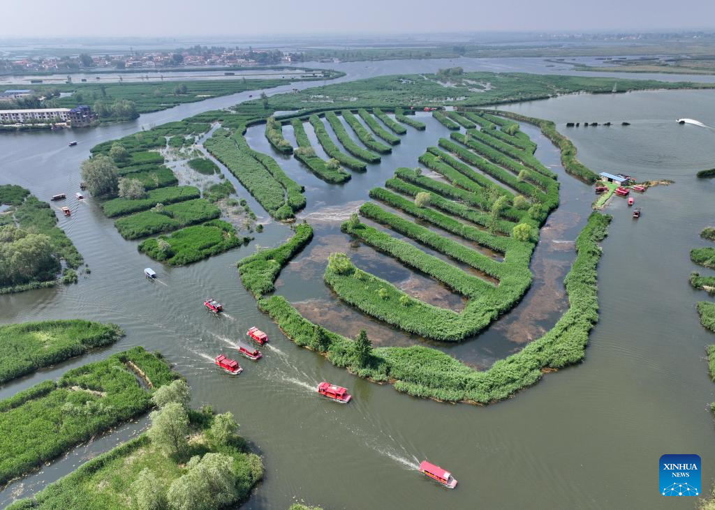 A scenic view of Baiyangdian Lake