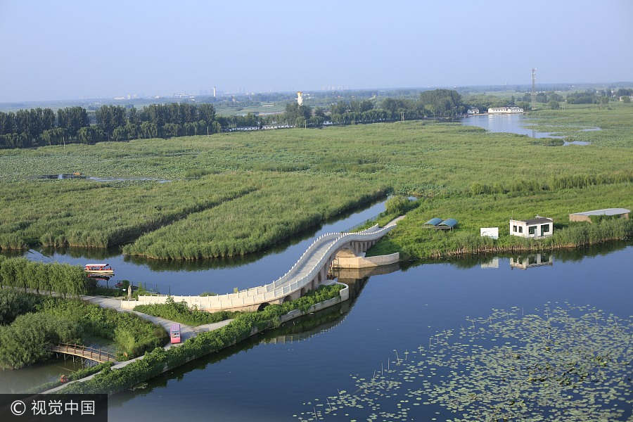 A scenic view of Baiyangdian Lake