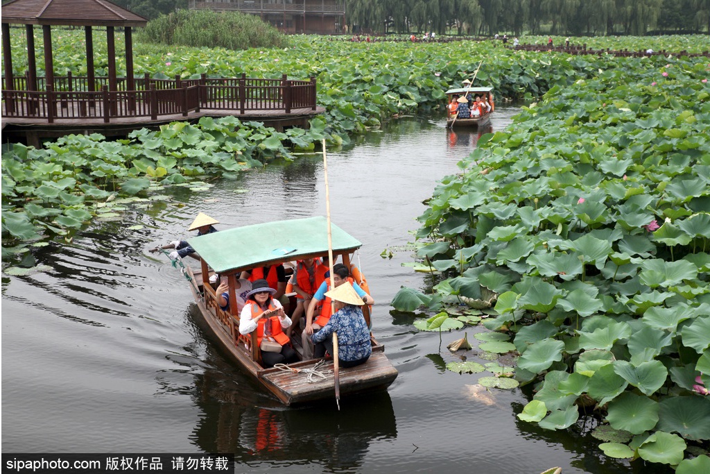 A scenic view of Baiyangdian Lake