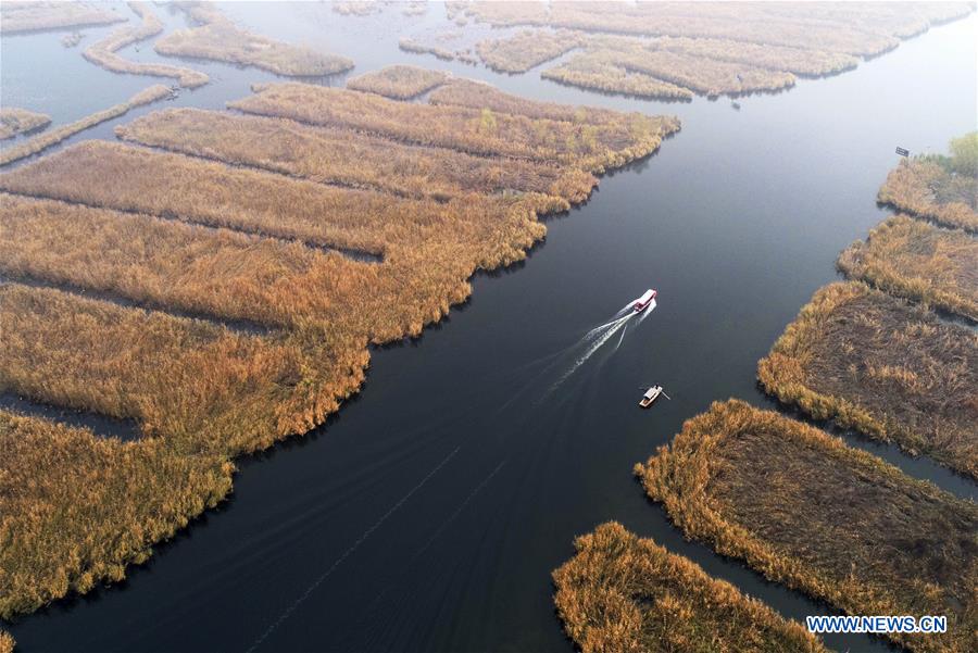 A scenic view of Baiyangdian Lake