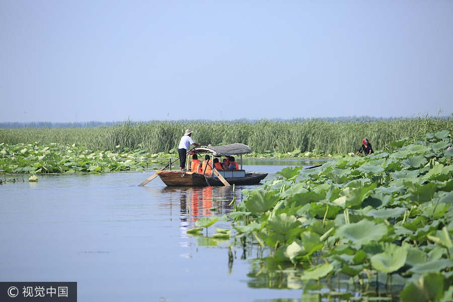 A scenic view of Baiyangdian Lake