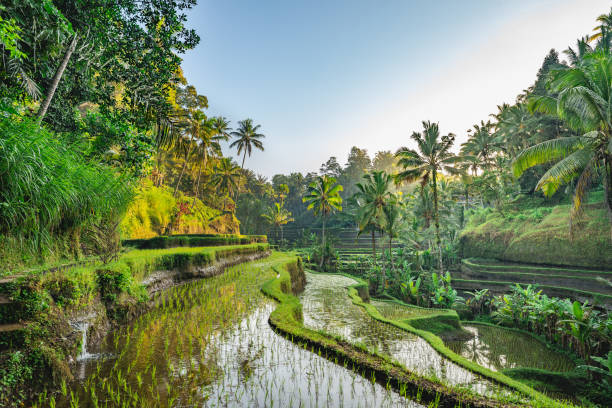 Exploring the Enchanting Bali River Scenic Area: A Nature Lover’s Paradise