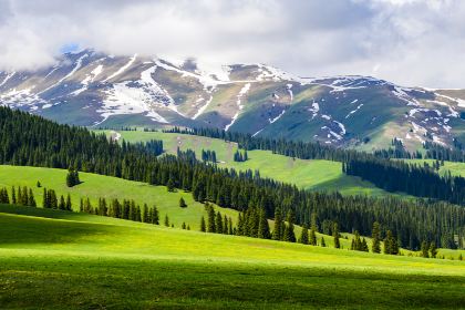 A scenic view of bayinbuluke grassland