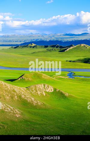 A scenic view of bayinbuluke grassland