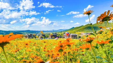 A scenic view of beidahu_ski_resort