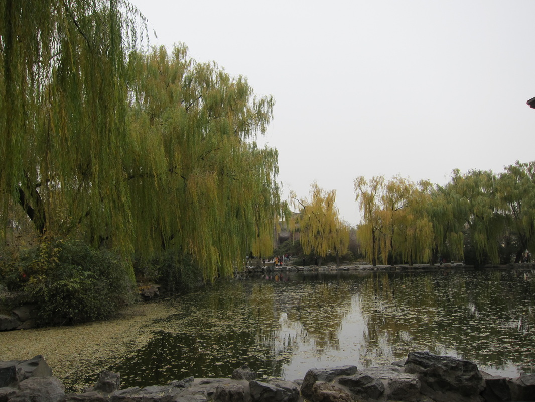 A scenic view of beijing_zoo