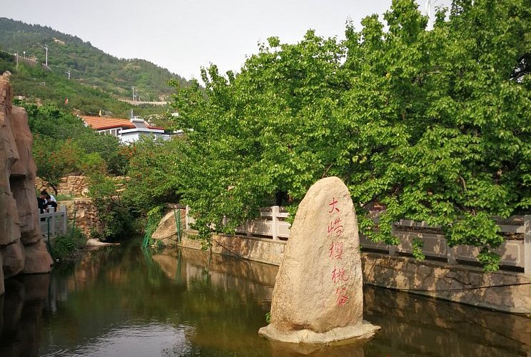Explore Beizhai Ruins: A Glimpse into China’s Ancient Past