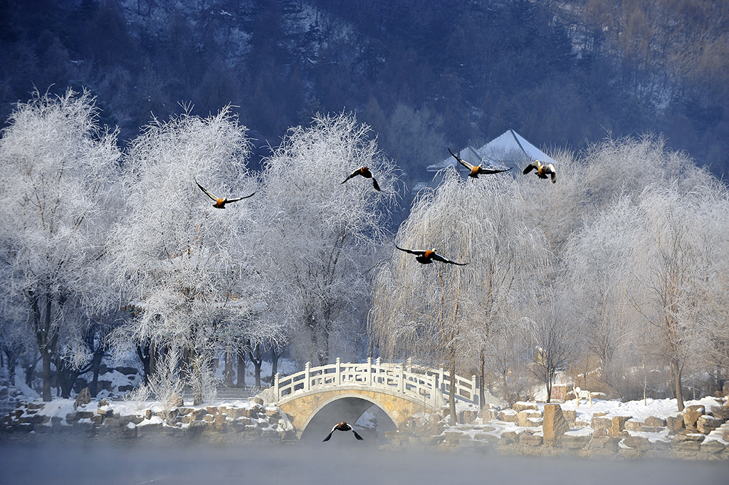 A scenic view of benxi_water_caves