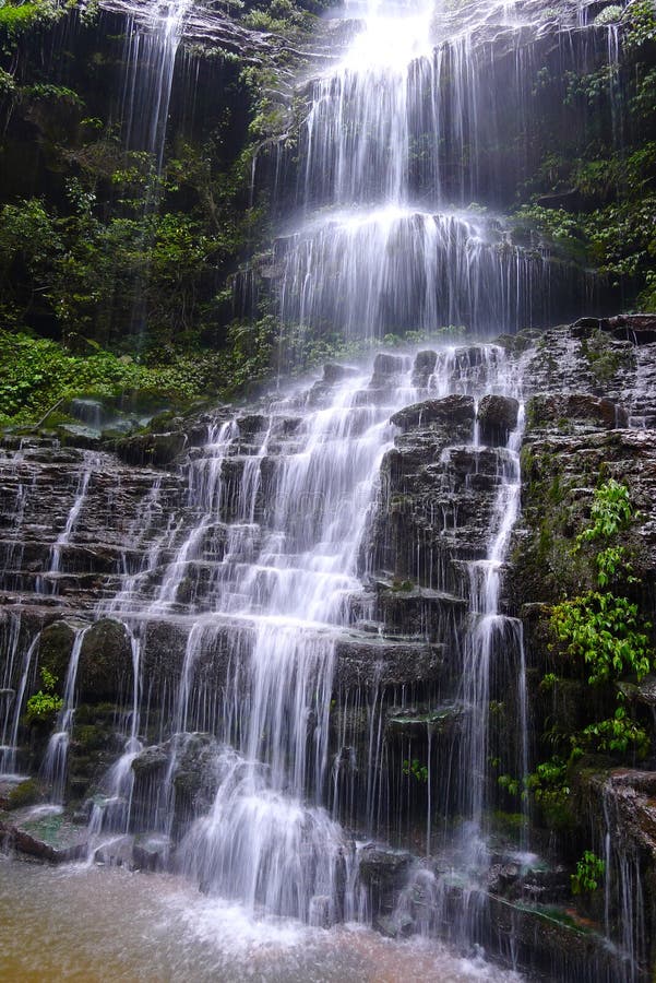 A scenic view of bifengxia scenic area