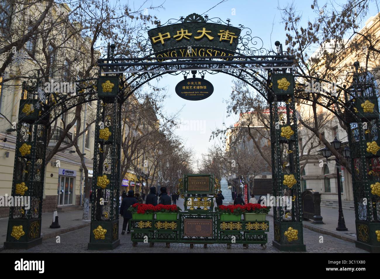 A scenic view of central_street_harbin