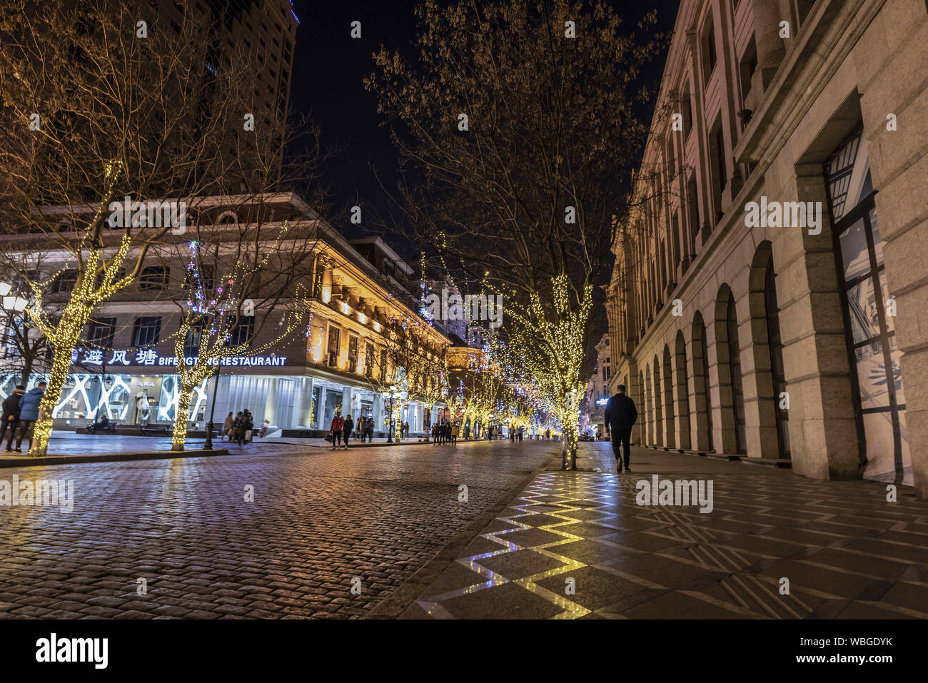A scenic view of central_street_harbin