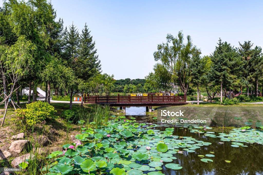 A scenic view of changchun_jingyuetan_park