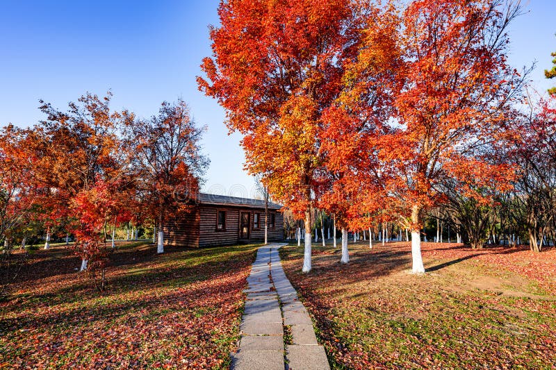 A scenic view of changchun_world_sculpture_park