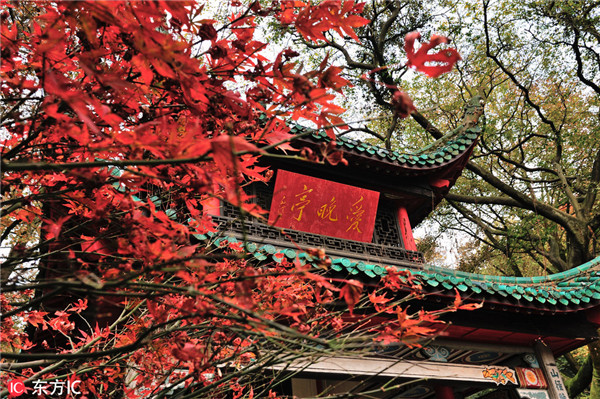 Changsha’s Natural Wonders: Discover Yuelu Mountain and Orange Isle