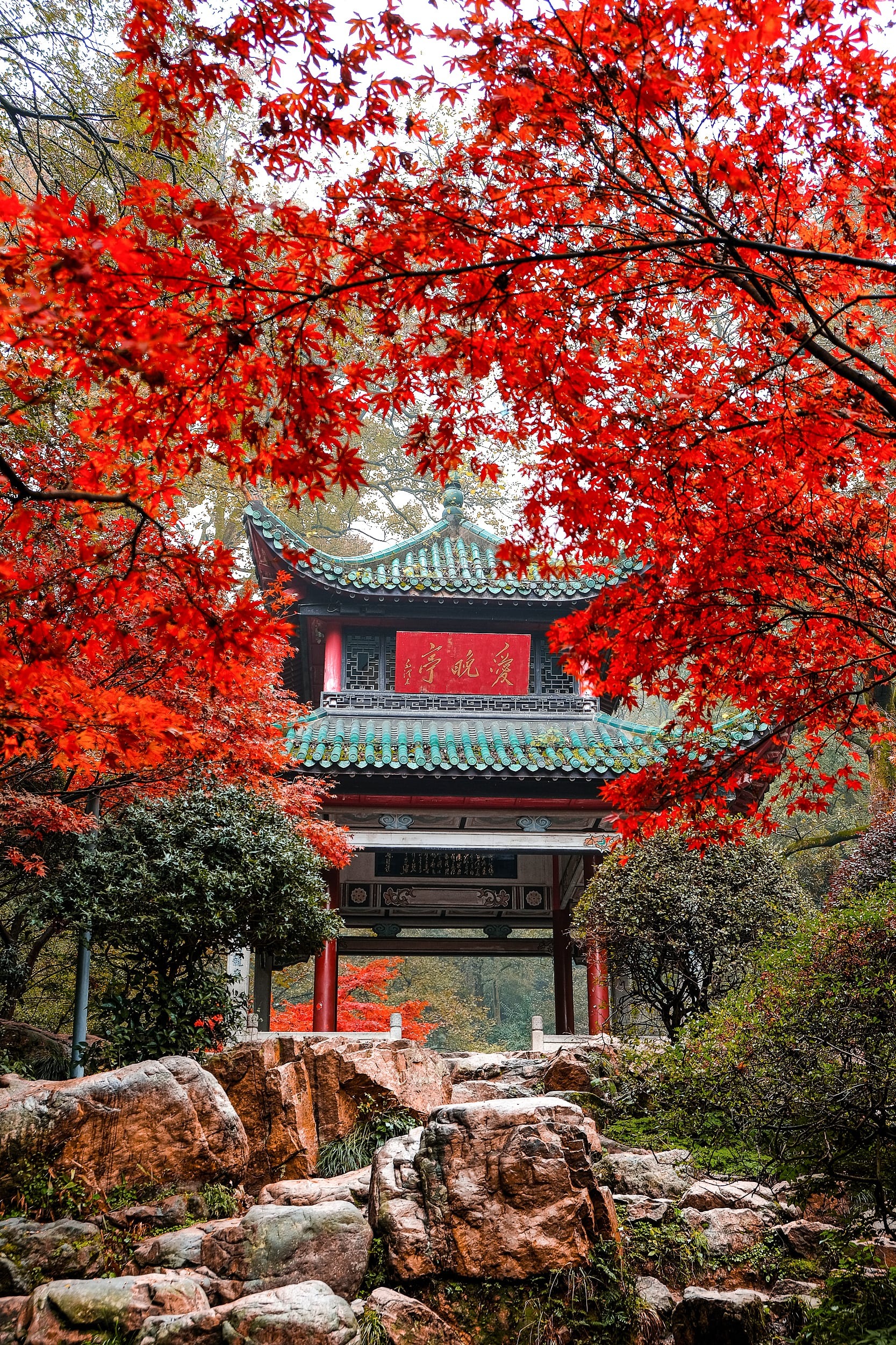 A scenic view of Changsha Yuelu Mountain Orange Isle