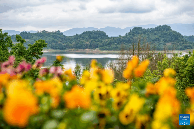 Why Changshou Lake Should Be on Your Travel Bucket List