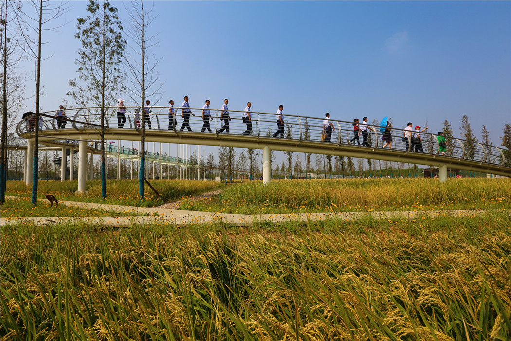 A scenic view of Chengtoushan Ruins