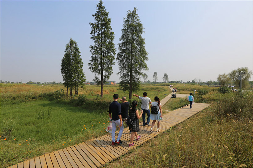 A scenic view of Chengtoushan Ruins
