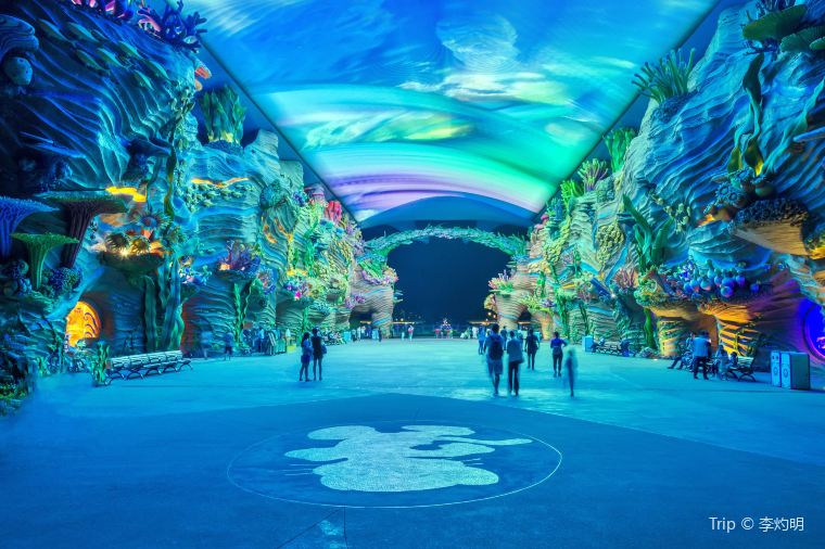 Top 10 Unforgettable Experiences at Chimelong Ocean Kingdom