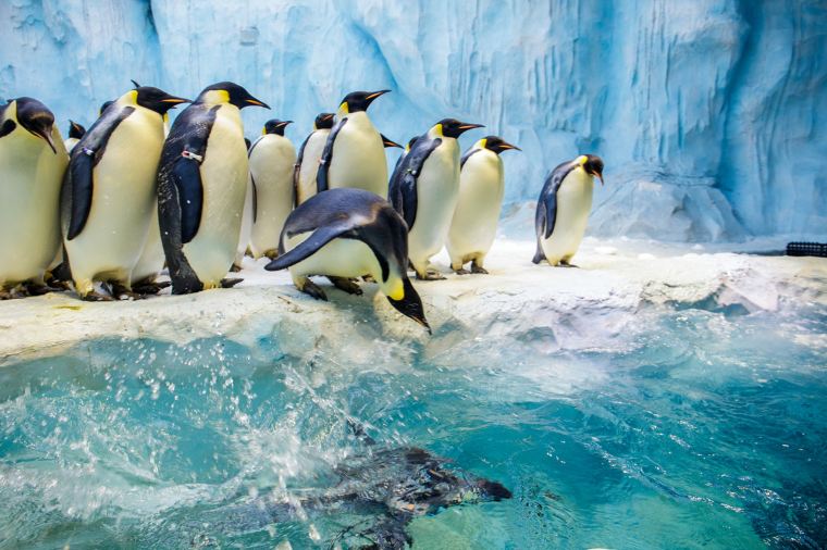 A scenic view of chimelong ocean kingdom