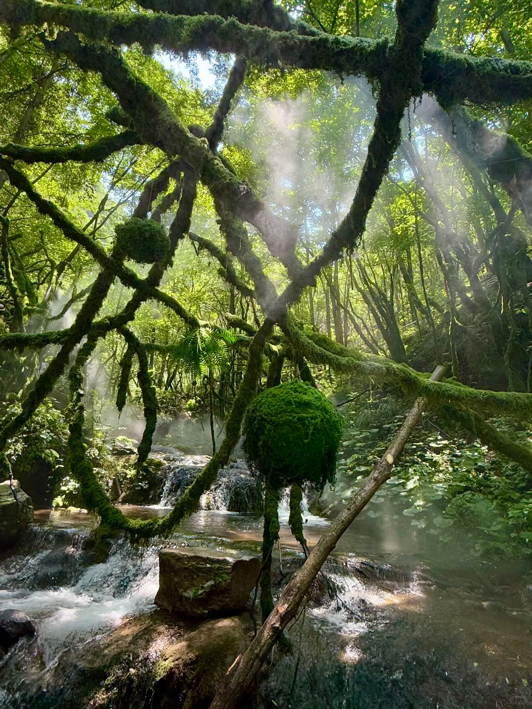 A scenic view of Chongdugou Scenic Area