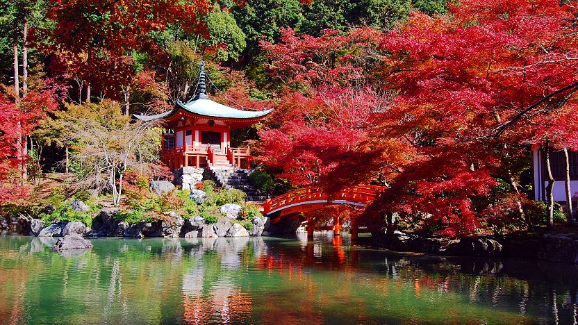 A scenic view of Dai Temple Heritage