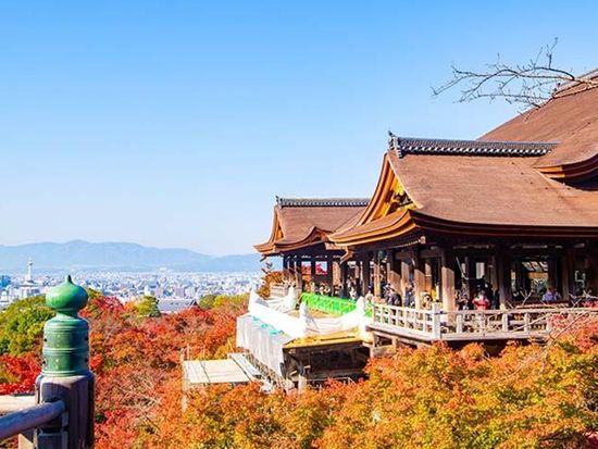 A scenic view of Dai Temple Heritage
