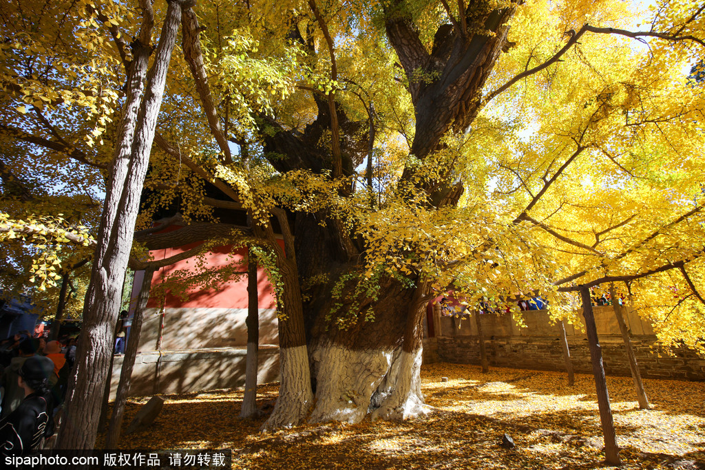 A scenic view of dajue_temple