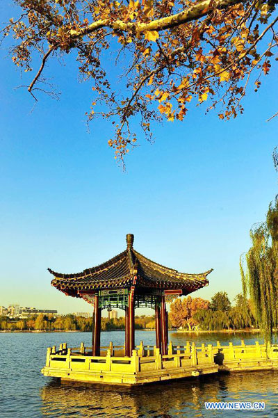 Why Daming Lake Should Be on Your China Travel Itinerary