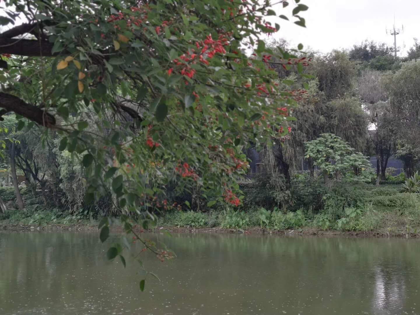 A scenic view of dashahe wetland park