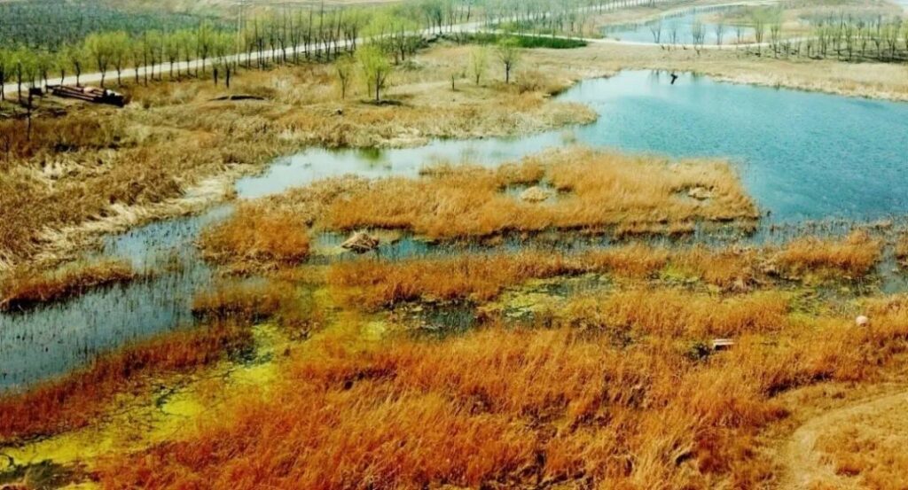 What Makes Dashahe Wetland Park a Must-Visit Destination in Southern China?