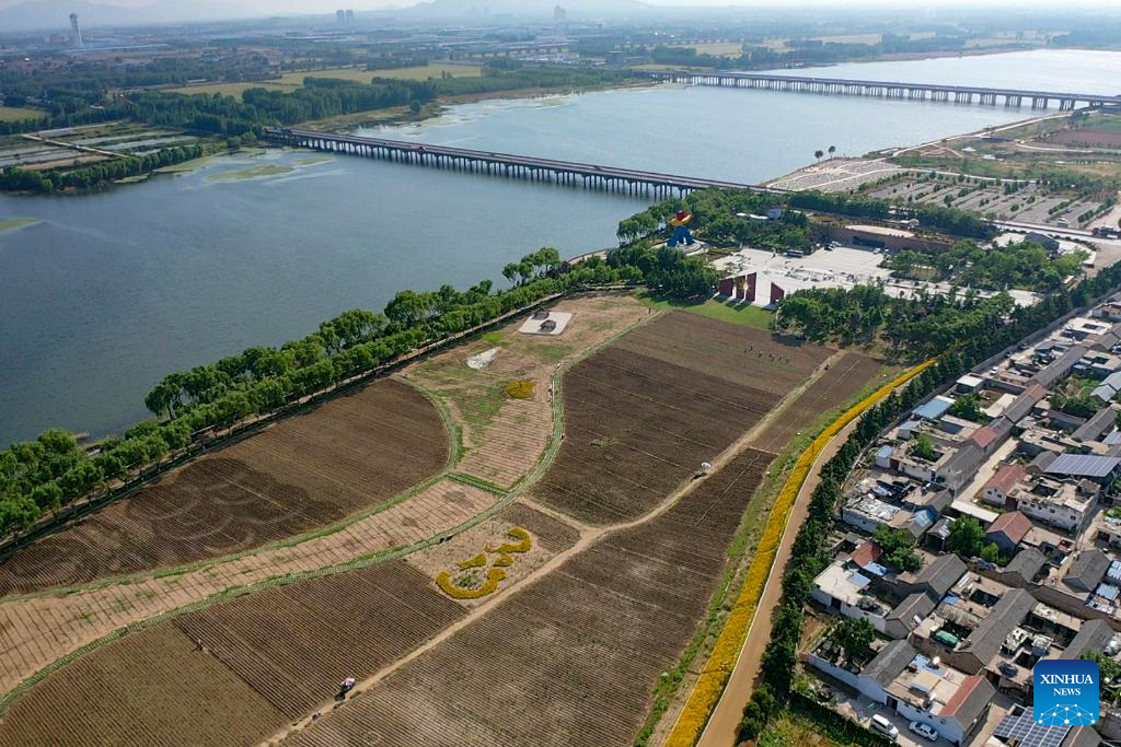A scenic view of Dawenkou Ruins
