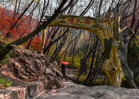 A scenic view of Daxiongshan Xianren Valley