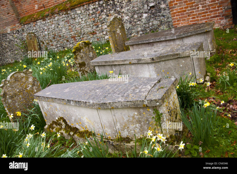 What Can the Dayishan Stone Coffin Tombs Teach Us About Han Dynasty Beliefs?