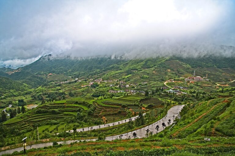 Exploring Dehua Kiln Sites: The Heart of Porcelain Craftsmanship