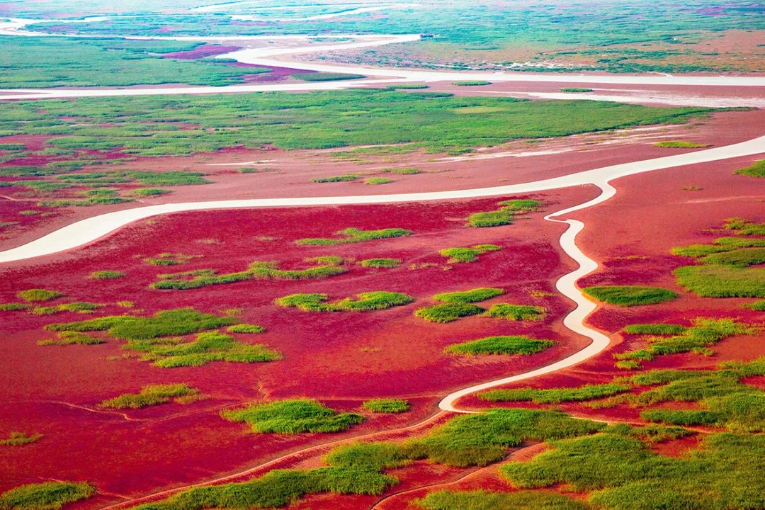A scenic view of Dongying Yellow River Delta